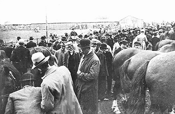 Hästbacken 1915